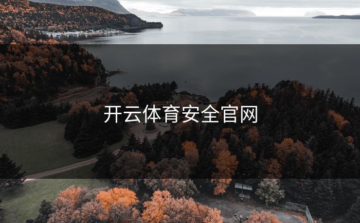 开云体育安全官网