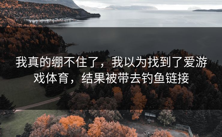 我真的绷不住了，我以为找到了爱游戏体育，结果被带去钓鱼链接