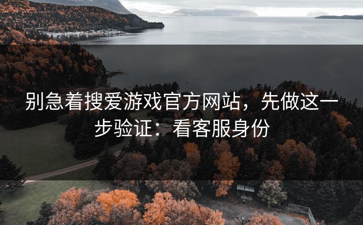 别急着搜爱游戏官方网站,先做这一步验证:看客服身份 别急着搜爱游戏官方网站,先做这一步验证:看客服身份